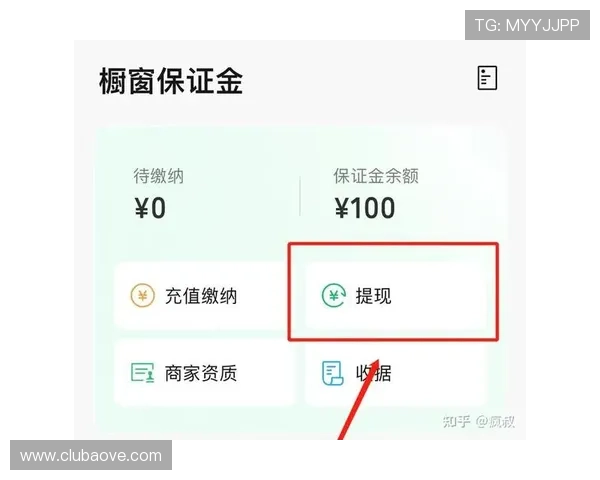 详细解析凯发娱乐网站的充值提现流程，帮助玩家轻松管理资金安全